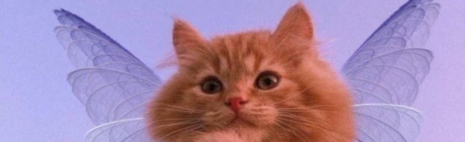 Cafe Bewitchment Discord Server Banner