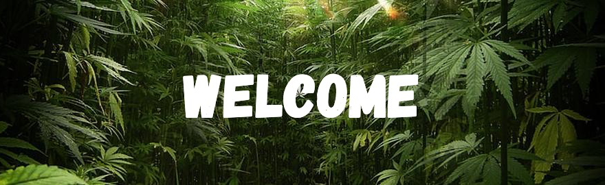 The CannaClassroom Discord Server Banner