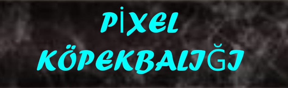 Pixel Köpekbalığı Discord Server Banner