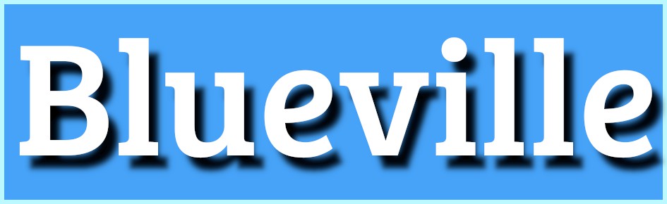 Blueville Discord Server Banner