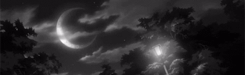 Shade Discord Server Banner