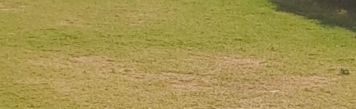 Artists Discord Server Banner