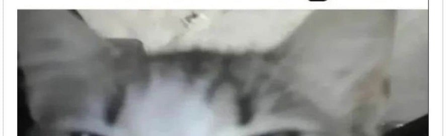 Ty's Parlor Discord Server Banner