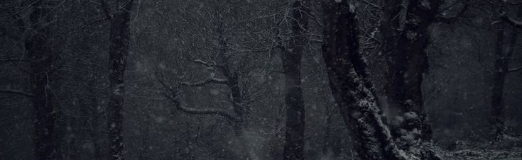 ☾✧Nighttime || Nightwalkers☾✧ Discord Server Banner