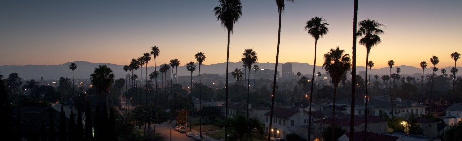 Tiny Vibes Discord Server Banner