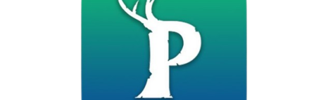 Communautés Fr AurelPal Discord Server Banner