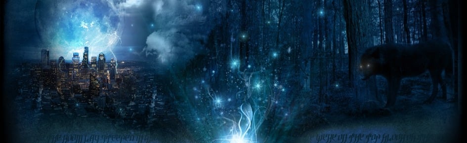 The WiZaRdS that SuRvIvEd Discord Server Banner