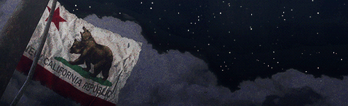 New California Republic Discord Server Banner