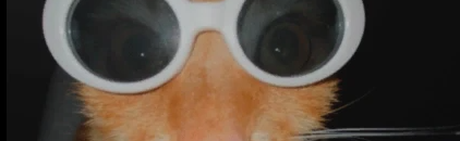 City Central Discord Server Banner