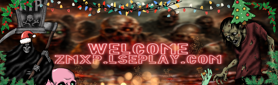 ZMXP.LSEPLAY.COM | Community Discord Server Banner