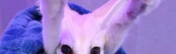 ART KANGZ Discord Server Banner