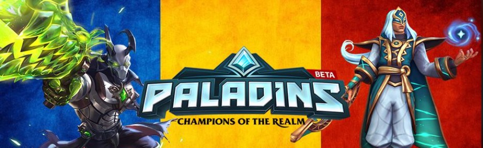 Paladins RO Discord Server Banner