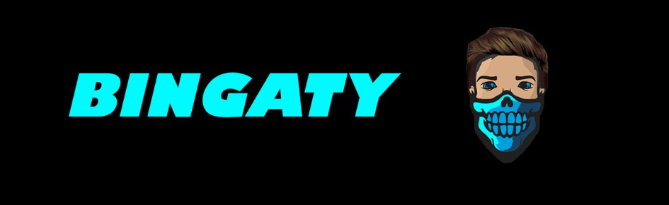 Bingaty Discord Server Banner
