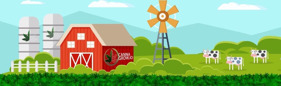Cannagrow.io Discord Server Banner