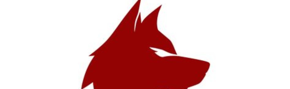 Arquivo Gamer Discord Server Banner