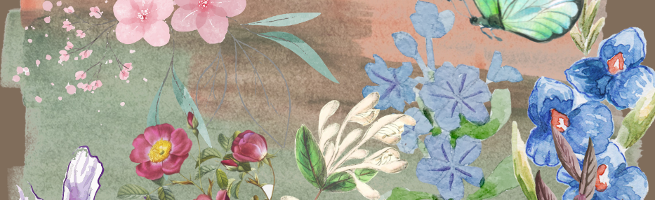 Dirt Kingdom Discord Server Banner