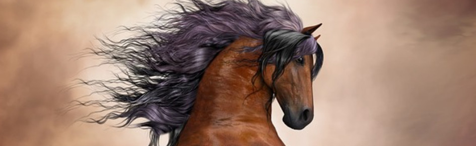 Horse City Discord Server Banner