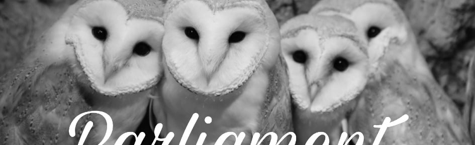 Parliament Discord Server Banner