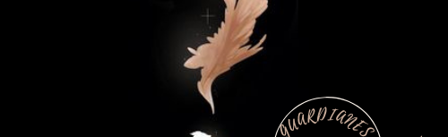 Guardianes de la luz Discord Server Banner