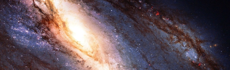 VoidBox Discord Server Banner