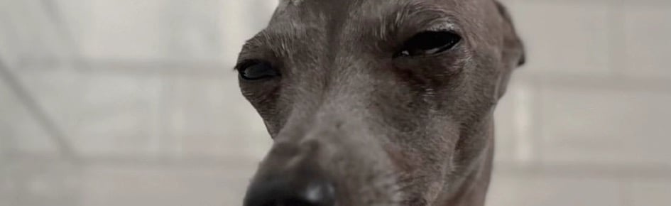 Havenage - Weekly Nitro Giveaway Discord Server Banner