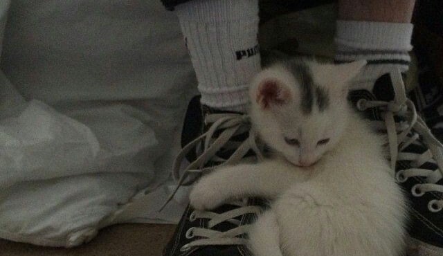 Another LGBT Server Discord Server Banner