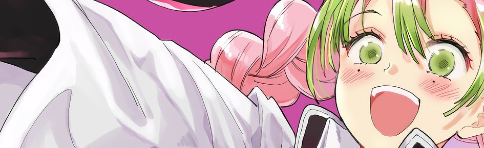 Mitsuri Discord Server Banner