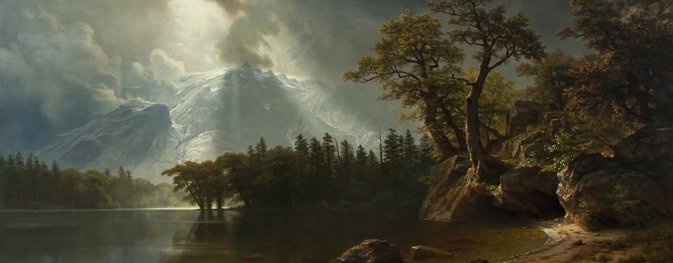 Oboki Camp Discord Server Banner