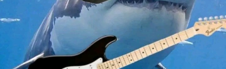 FRIENDS AND FOES Discord Server Banner