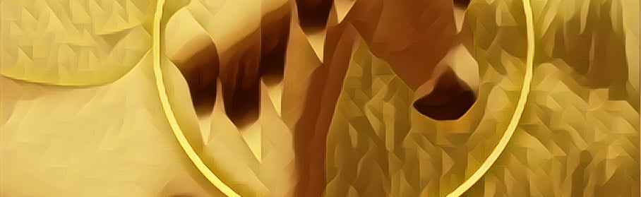 Wild Horse Islands Roblox Sell Discord Server Banner