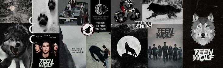 ※ | BeaconHills Türkiye Roleplay Discord Server Banner