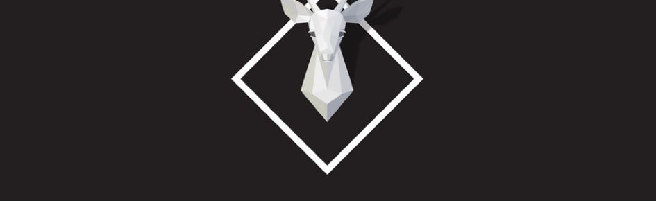 Server Promo 📢 Discord Server Banner