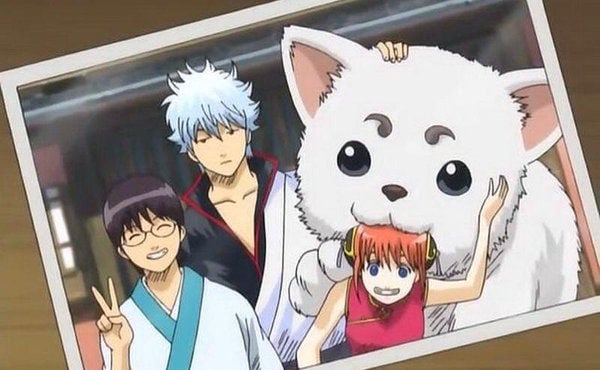 心ArkGuards Discord Server Banner