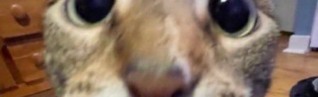 Tuff Hangout Discord Server Banner