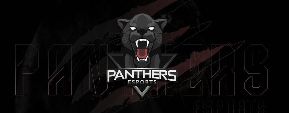 PANTHERS Discord Server Banner