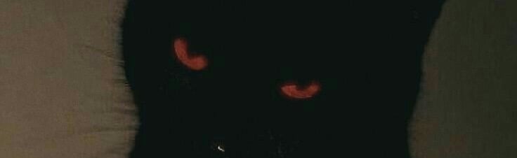 Bat’s Closet Discord Server Banner