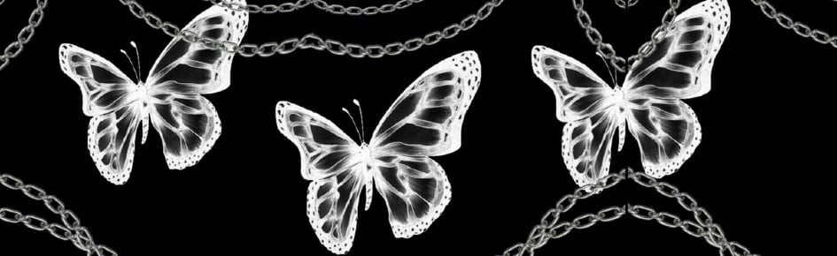 cult classic *°࿐ •*⁀➷ Discord Server Banner