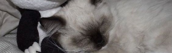 Decker Discord Server Banner