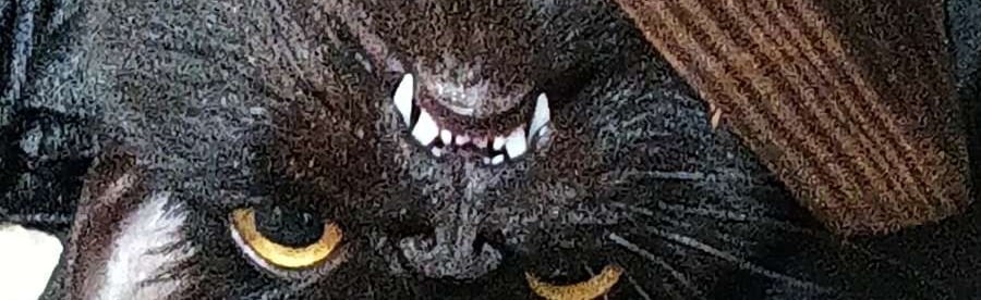 Scorpius's Discord Server Banner