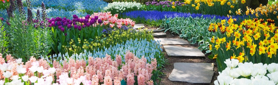 ❀ garden • fictionkin + system ❀ Discord Server Banner