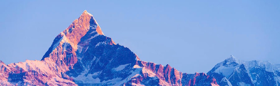 COLDESTLINKUP Discord Server Banner