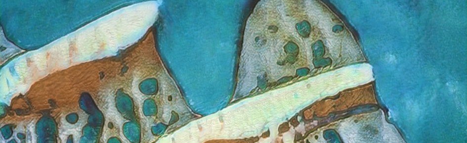 Paintora Discord Server Banner