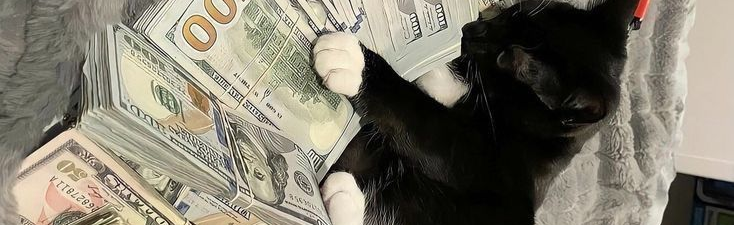 CatLandCentral Discord Server Banner