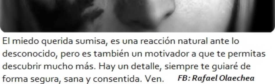 DyS - BDSM (español) Discord Server Banner