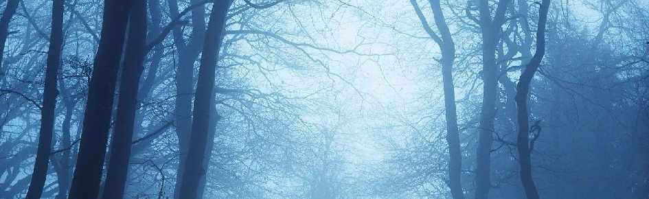 Shattered Fog Discord Server Banner