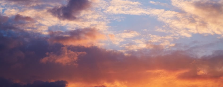 ｡･˚✧｡Multistan World Discord Server Banner