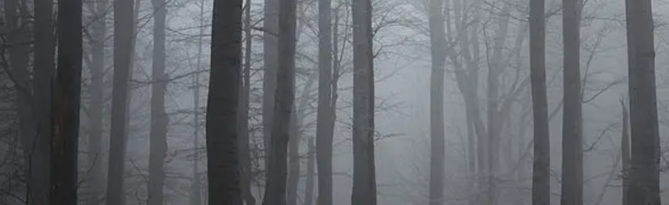 The Deepwoods Discord Server Banner