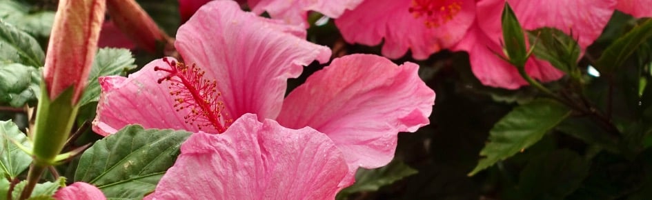 Weight loss & Habits Discord Server Banner