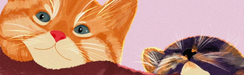 Palette Pop | SFW Art Server Discord Server Banner