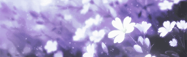 Crankin' Cuties Discord Server Banner